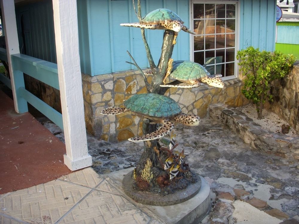 Two Turtles Inn Georgetown Kültér fotó